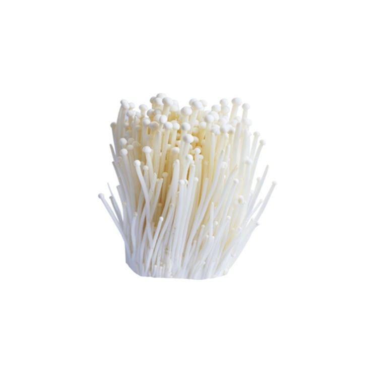 金针菇约400g+50g