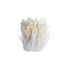 金针菇约400g+50g 商品缩略图0