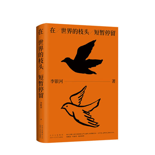 在世界的枝头短暂停留 李银河著 中国现当代文学散文随笔 图书 商品图0