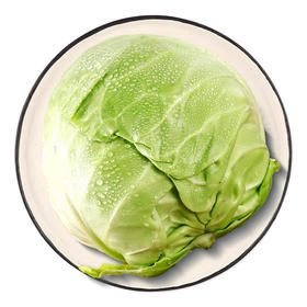 上庄店 圆白菜约500g