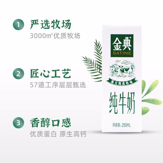 伊利金典纯牛奶250ml*12 商品图3