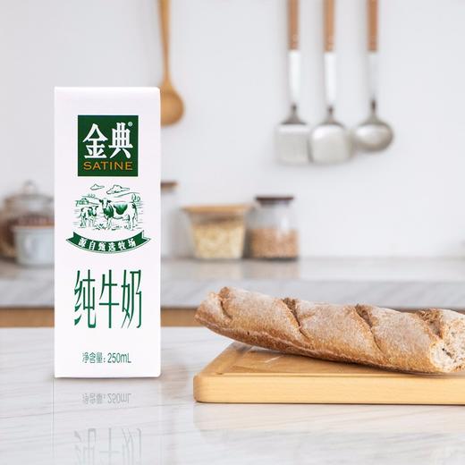 伊利金典纯牛奶250ml*12 商品图1