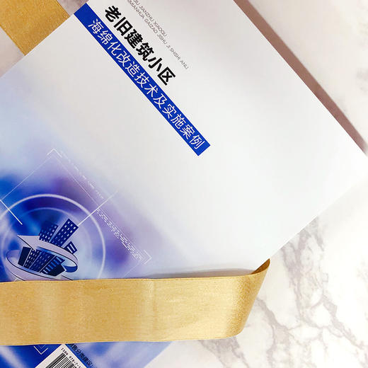 老旧建筑小区海绵化改造技术及实施案例 商品图2