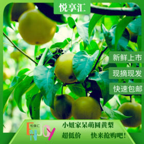 【新鲜水果】小妞家呆萌圆黄梨