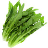 上庄店 油麦菜1把 商品缩略图0