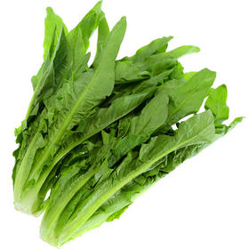 上庄店 油麦菜1把