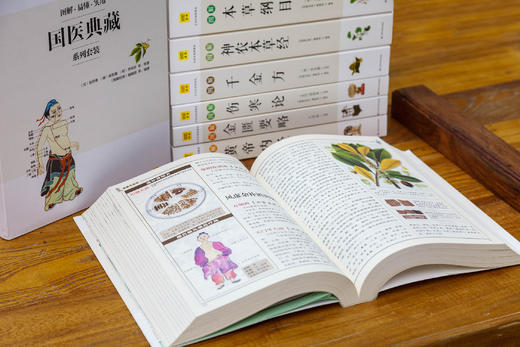 《图解国医典藏》系列套装（共6册）一套人人都能看懂、用得上的国医经典 商品图5