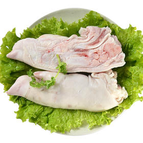 四道口店 大红门 鲜前猪蹄约500g/个