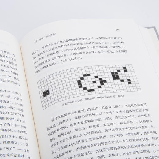 我是谁，或什么： 一部心与自我的辩证奇想集 商品图5