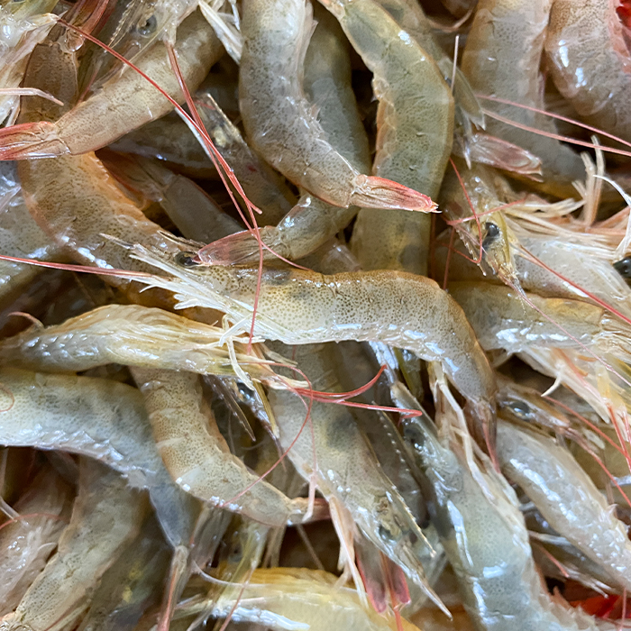 【野生沙虾】深海纯野生鲜活鹰爪虾新鲜每份250g火锅食材
