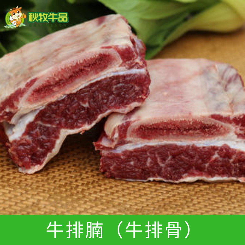 秋牧牛品牛排腩 500g 剔骨或带骨 烧炖皆宜,筋肉丰富 小块配送