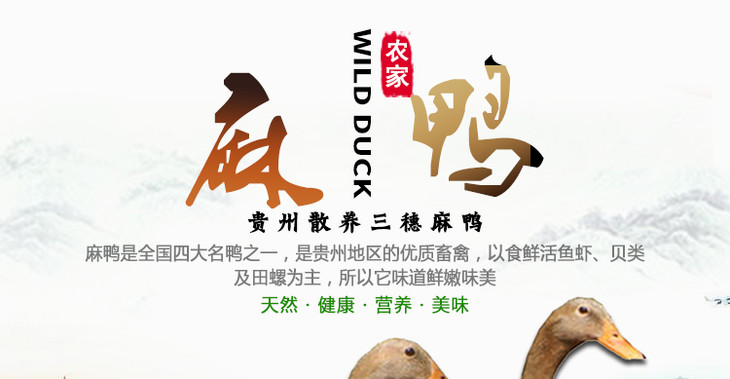贵州三穗麻鸭 农家散养 新鲜现杀