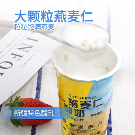 【上新】新疆瑞缘燕麦仁酸奶180ml*12罐(冷链配送)