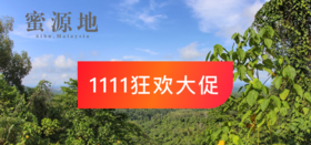 11对对对