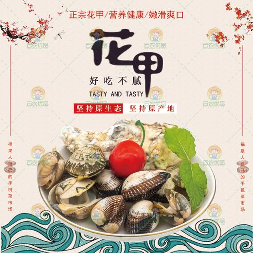 花甲 商品图0