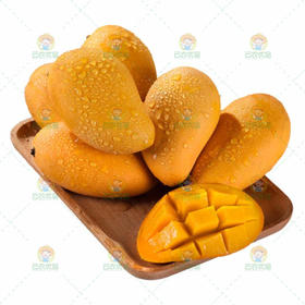 小台芒