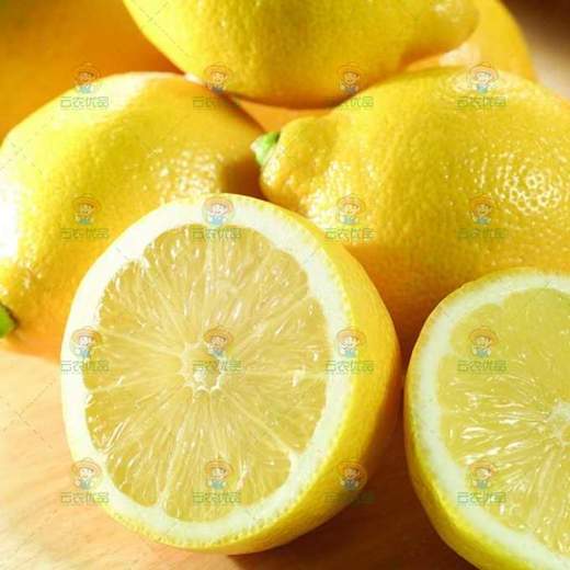 新西兰柠檬 优质果 商品图0