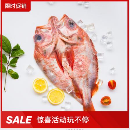 【广东奥园物业业主专享】精选冷鲜系列 挪威大西洋开片红石斑鱼 商品图0