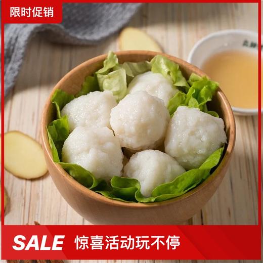 【广东奥园业主专享】精选冷鲜 深海鱼丸500g/包 火锅食材 商品图0