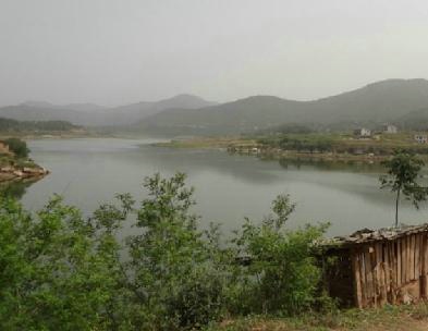 格润生态农业200428