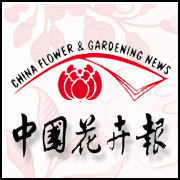 中花线商210617