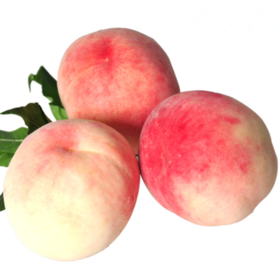 龙泉水蜜桃 "琼浆玉露" 纯天然无公害种植,市面上一桃难求,外观艳丽