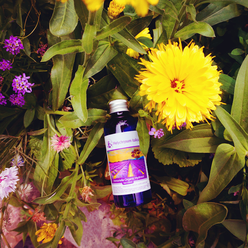 有机永久花纯露——修复 抗衰老 祛瘀 淡化黑眼圈