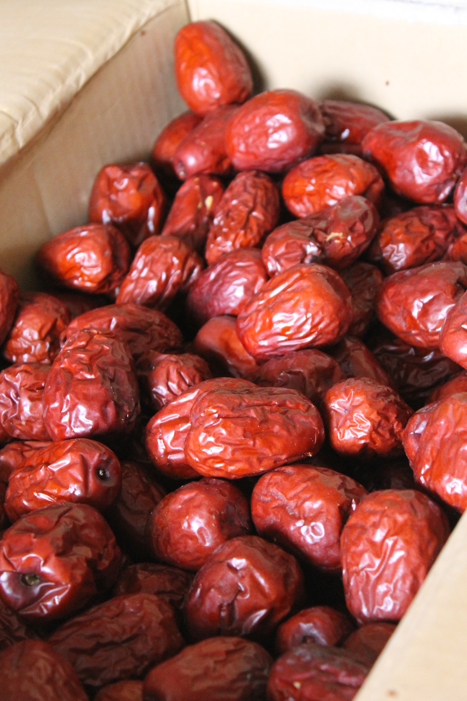 山西交城骏枣(一级)