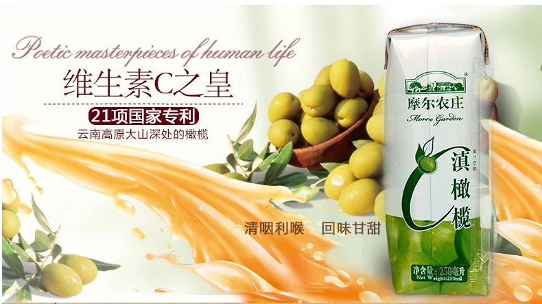 摩尔农庄 云南滇橄榄汁原汁特产 特产果味饮料250mlx12盒装