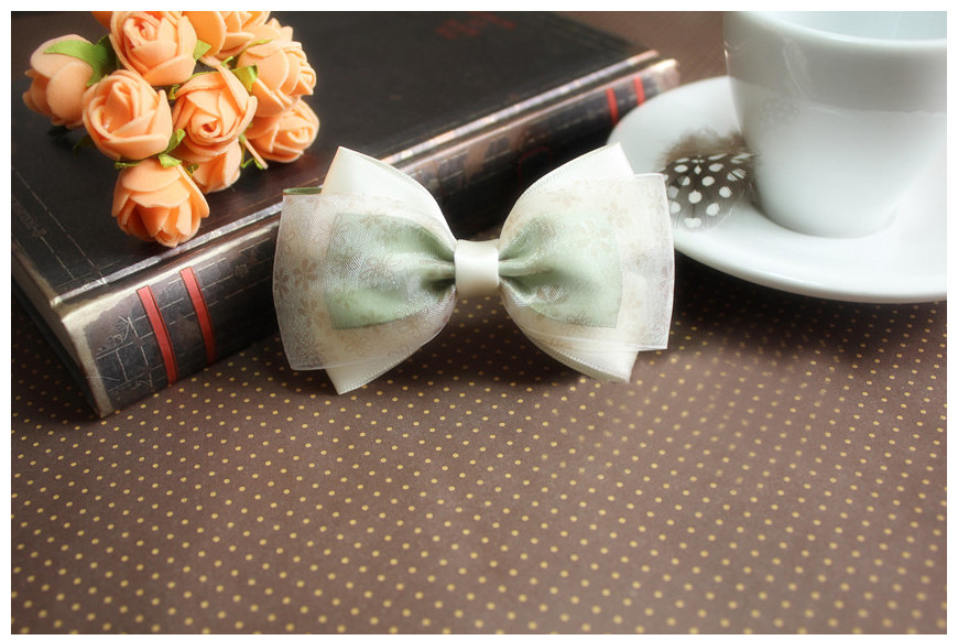 casmon卡诗蔓韩版雪纺头花韩版小清新发夹