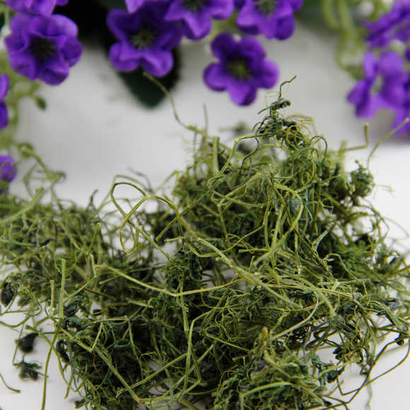 施州名茶龙须绞股蓝野生极品甘味绞股蓝七叶参七叶胆正品新茶送礼