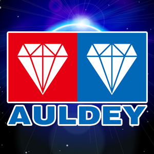 奥迪双钻小欢园旗舰店200508