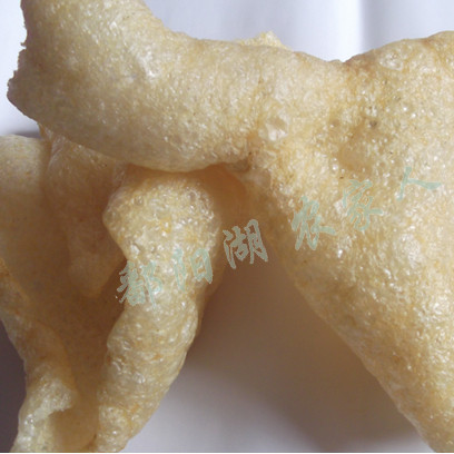 江西特产鄱阳湖风味油炸肉皮干特级油发肉皮-干肉皮皮肚 响皮500g