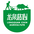 龙泉慈心221205260114