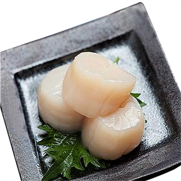 极品刺身帆立贝柱