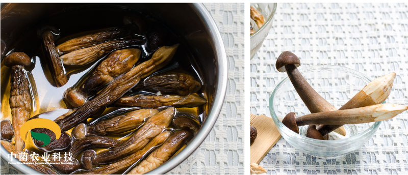 云南特产fd冻干黑鸡枞芽头中国红礼盒 鸡枞干片 送礼必备