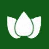 花窝窝绿植专卖160902