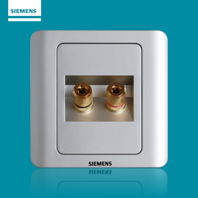 二位音响插座 远景 彩银