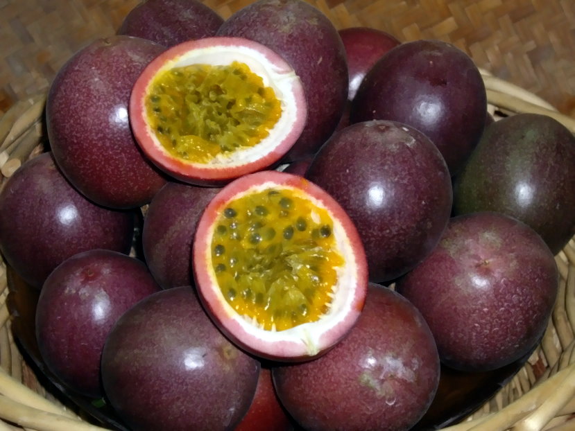 百香果 passion fruit