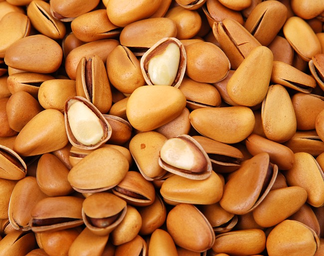 松子pine nuts