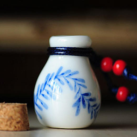 【为思礼】复古中国风 手绘青花瓷 许愿瓶项链 含羞草 商品图0