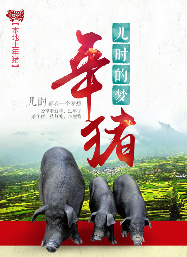 00 库存: 2400 件 立即购买     /      支付: 微信支付银行卡