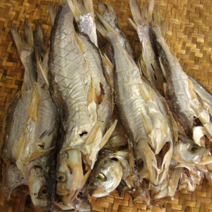 安徽特产 巢湖小白丝鱼干 咸鱼干 狮城自制小白丝鱼干