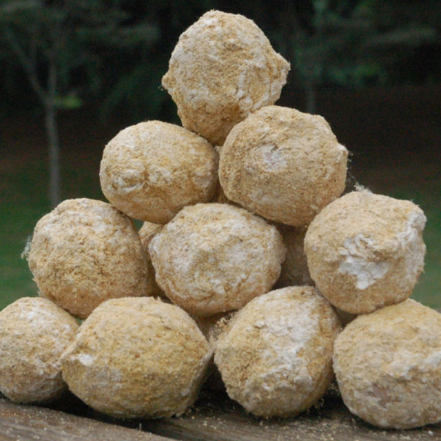 金凤凰生态变蛋