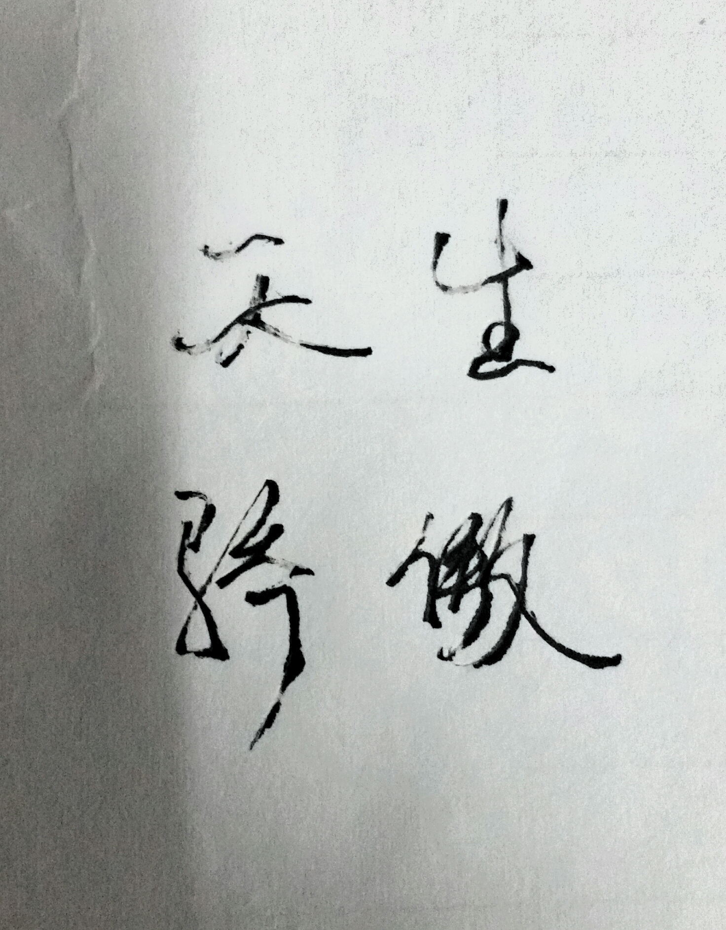 天生骄傲 香港正品代购