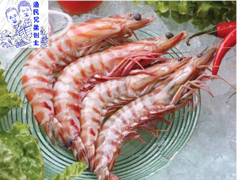 东海海鲜 野生新鲜竹节虾 九节虾 对虾花虾 生鲜食品1斤