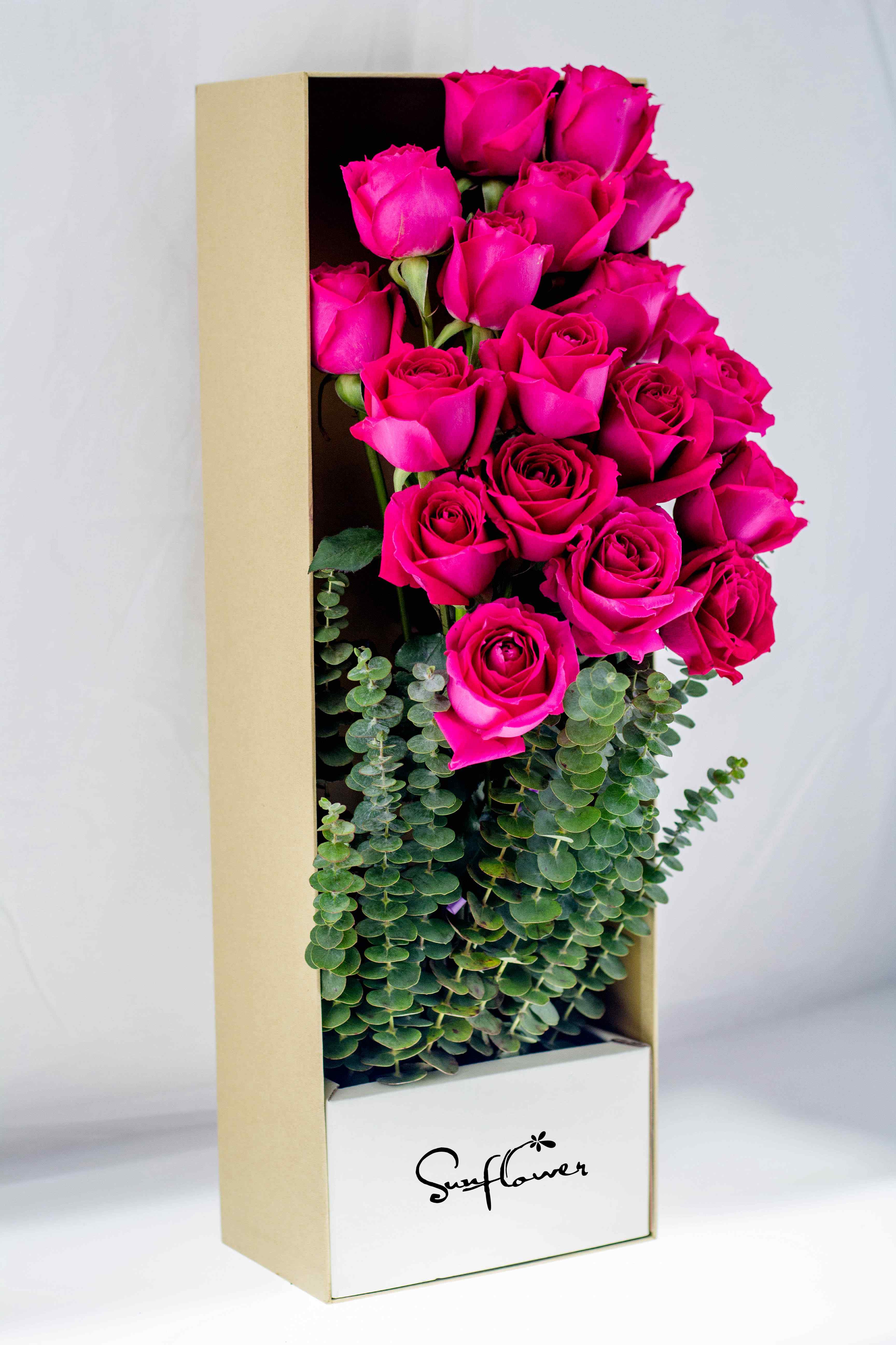 枪炮玫瑰【大桃红】