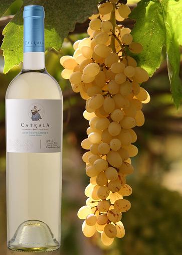 卡奇拉酒庄特酿琼瑶浆白葡萄酒(catrala gewurztraminer)