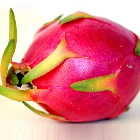 越南 白心火龙果 4.9元/斤 - 鲜度时代水果综合超市