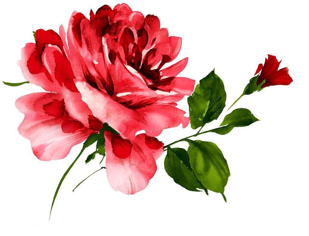 海口鲜花速递200429